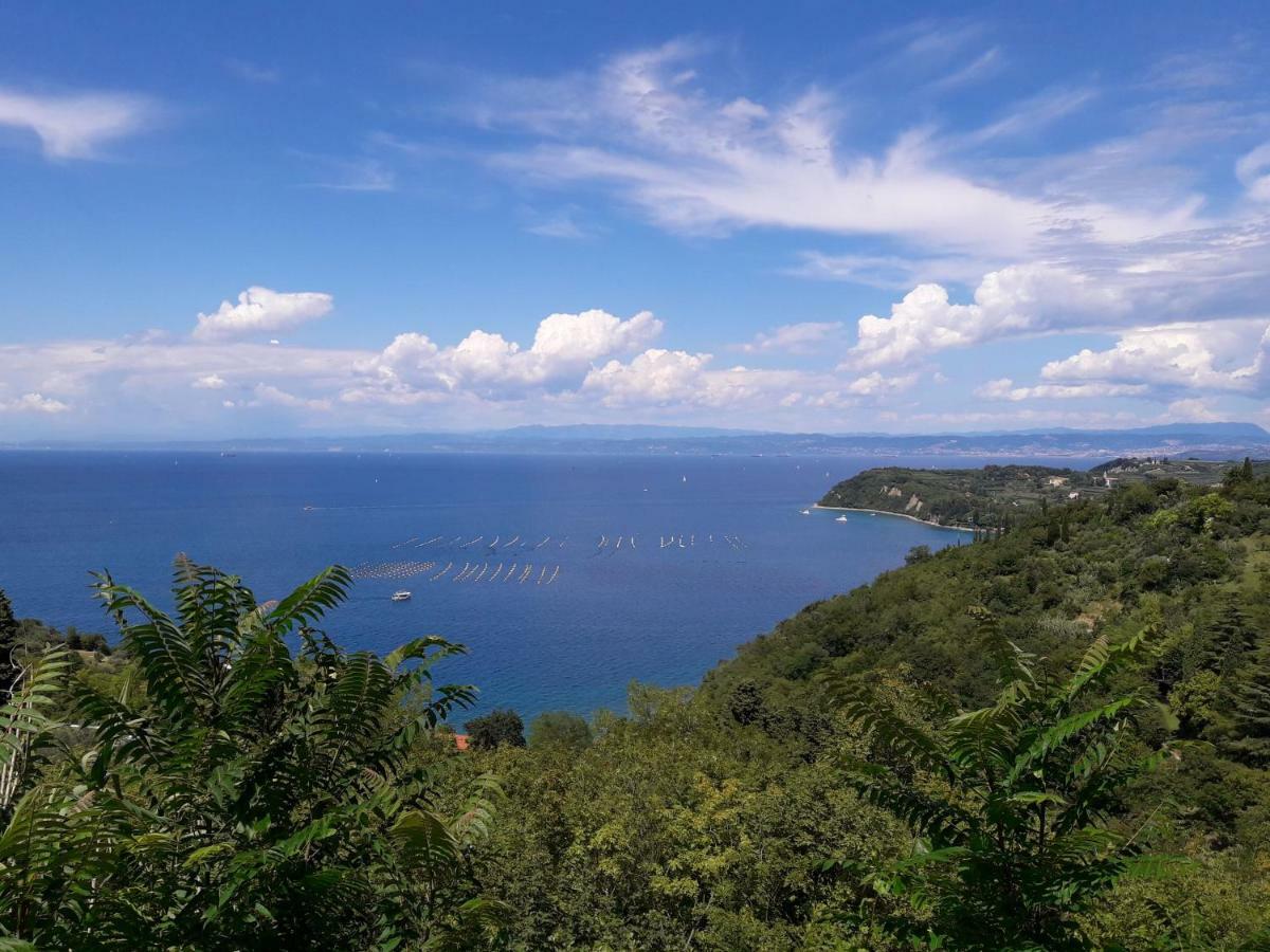 Apartma Kocevar Portoroz Exterior foto